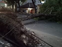 Korban Insfrastruktur di Bojonegoro