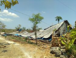 Hujan Lebat disertai Angin, Empat Kandang Ayam di Gresik Ambruk