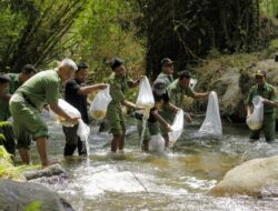 Menjaga Ekosistem Sungai, Masyarakat Tebar 7.500 Benih Ikan