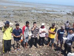 DPR RI Prof. Zainuddin Maliki: Pantai Desa Sedayulawas Bisa Menjadi Destinasi Wisata