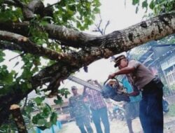 Sempat Sendat Lalu Lintas, Kapolsek Kadur Segera Bersihkan Pohon Tumbang