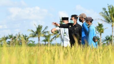 Ternyata Ini Penyebab Pertanian Tetap Tumbuh di Kuartal III
