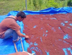 Mahasiswa Bojonegoro Bersama Aktivis Pertanian Kampanyekan Petani Mandiri Pupuk