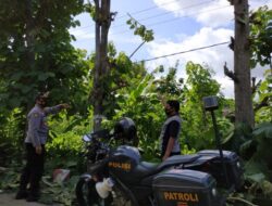 Memotong Ranting Pohon Jati, Warga Jambon Tewas Tersengat Aliran Listrik