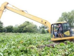 Atasi Banjir, Pemkab Lamongan Kerahkan Backhoe Amphibi untuk Bersihkan Eceng Gondok