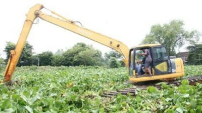 Atasi Banjir, Pemkab Lamongan Kerahkan Backhoe Amphibi untuk Bersihkan Eceng Gondok