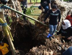 Pohon Tua Tumbang, Bupati dan Wabup Lumajang Tanam Pohon Beringin Baru