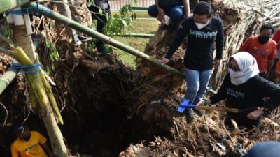 Pohon Tua Tumbang, Bupati dan Wabup Lumajang Tanam Pohon Beringin Baru
