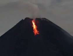 Aktivitas Vulkanik Gunung Merapi kembali Meningkat
