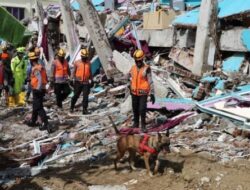 BNPB Menargetkan Rekonstruksi Rumah Korban Gempa Majene Selesai dalam 6 Bulan
