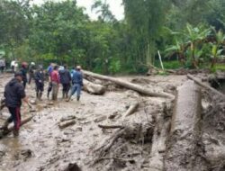 Breaking News: Banjir Bandang Terjang Gunung Mas Puncak Bogor, Ratusan Warga Mengungsi