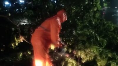 Hujan Deras Disertai Angin, Pohon Raksasa di Surabaya Menimpa Mobil