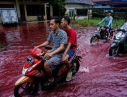 Banjir Berwarna Merah di Pekalongan