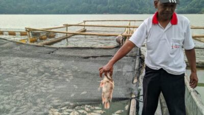 Telaga Ngebel