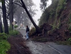 Jalur Wisata Bromo di Tosari Kembali Tertimbun Longsor