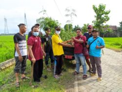 Aksi Selamatkan Bumi, PCPM Sukosewu Bojonegoro Lakukan Penghijauan