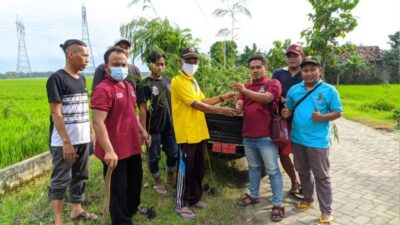 Aksi Selamatkan Bumi, PCPM Sukosewu Bojonegoro Lakukan Penghijauan
