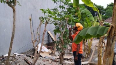 Agus Wahyu Cahyono