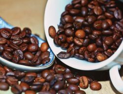 Peningkatan Kualitas dan Mutu Kopi Masyarakat Adat yang Ramah Lingkungan