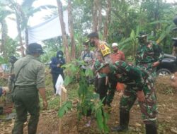 Penyebab Banjir di Jember, Akademisi UNEJ: Tutupan Lahan Mulai Gundul