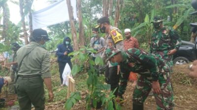 Jember