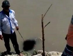 Hendak Memancing, Warga Temukan Mayat Pria Mengapung di Muara Sungai Puger