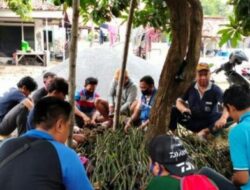 Pembibitan Mangrove di Pantai Camplong oleh Relawan KSB Trunojoyo