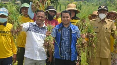 Panen Raya Bawang Merah di Desa Blaban Dihadiri Dua Anggota Dewan