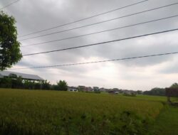 Wacana Impor 1 Juta Ton Beras, LPPNU Ponorogo: Kami Menolak