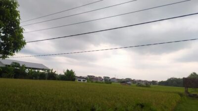 Ponorogo
