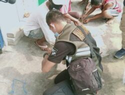 Ular Sanca Kembang Empat Meter Kejutkan Warga Surabaya