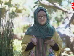Peringati 35 Tahun Berdiri, Komunikasi UMM Gelar TRIbute to Live