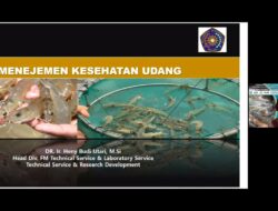 Hadirkan 2 Pakar, Kelas Profesional FPP UMM Kaji Tantangan Budidaya Udang