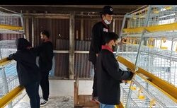 Kandang Portable, Karya Mahasiswa PMM Mitra Dosen UMM Untuk Siswa SMK Muhammadiyah 1 Batu