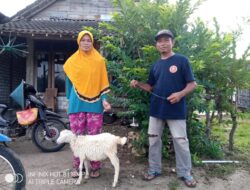Pemuda Muhammadiyah Solokuro Membantu Masyarakat dengan Kambing