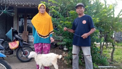 Pemuda Muhammadiyah Solokuro Membantu Masyarakat dengan Kambing