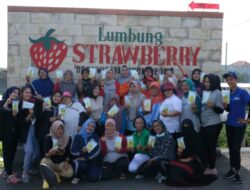 Menarik! Duet Mahasiswa PMM UMM dengan Emak-emak Lumbung Stroberi, Hasilkan Stroberi dengan Berbagai Varian