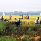 Jelang Panen Raya, Kementerian Pertanian optimis pasokan beras hasil panen petani tahun ini mampu memenuhi kebutuhan dalam negeri