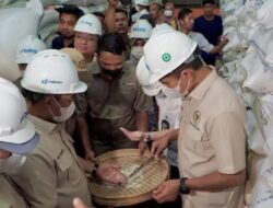 Jaga Ketahanan Pangan, Bulog Jatim Serap Hasil Panen Petani Lokal