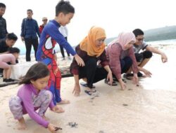 Gubernur Jatim Melepas Puluhan Tukik Di Pulau Tabuhan