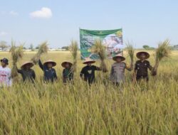 Bupati Probolinggo; Sektor Pangan Jadi Prioritas Pembangunan