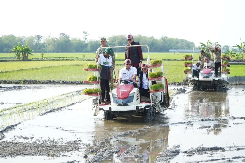 Kesejahteraan petani