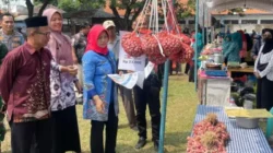 Dorong Ekonomi Desa, Ajang Perdana BUMDes UMKM Fair 2026 Maospati Tuai Apresiasi