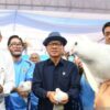 Peringatan Hari Desa Nasional 2027 dan Liga Desa Resmi Diluncurkan, Mendes PDT Optimis Ekonomi Desa Bergerak